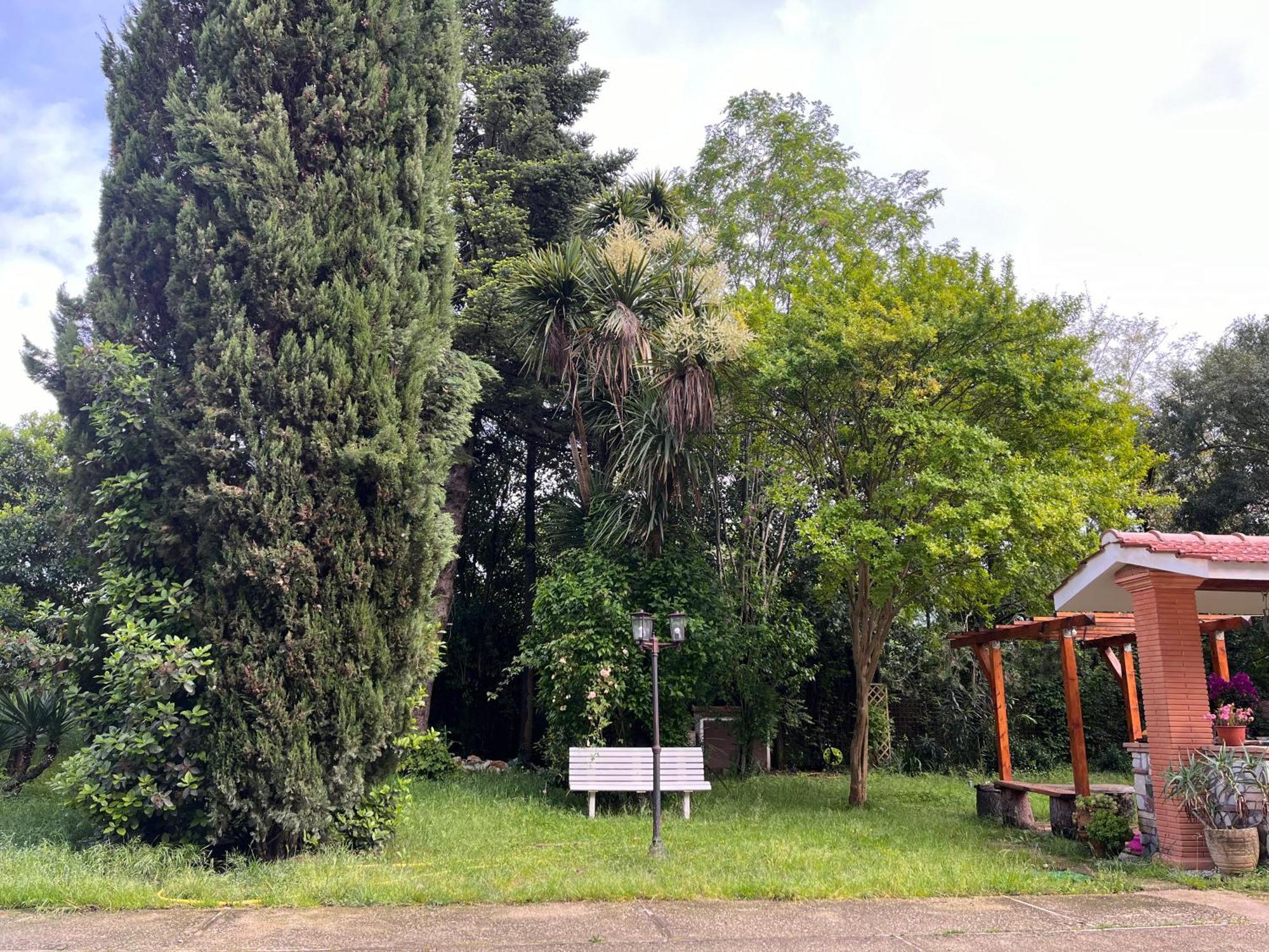 Nel Giardino Segreto Daire San Giorgio a Liri Dış mekan fotoğraf